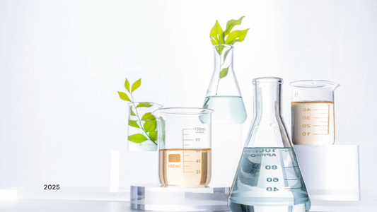 Eco-friendly lab setup with glass beakers and live green plant cuttings, showcasing sustainable plant tissue culture techniques – Itsumi Botanicals 2025