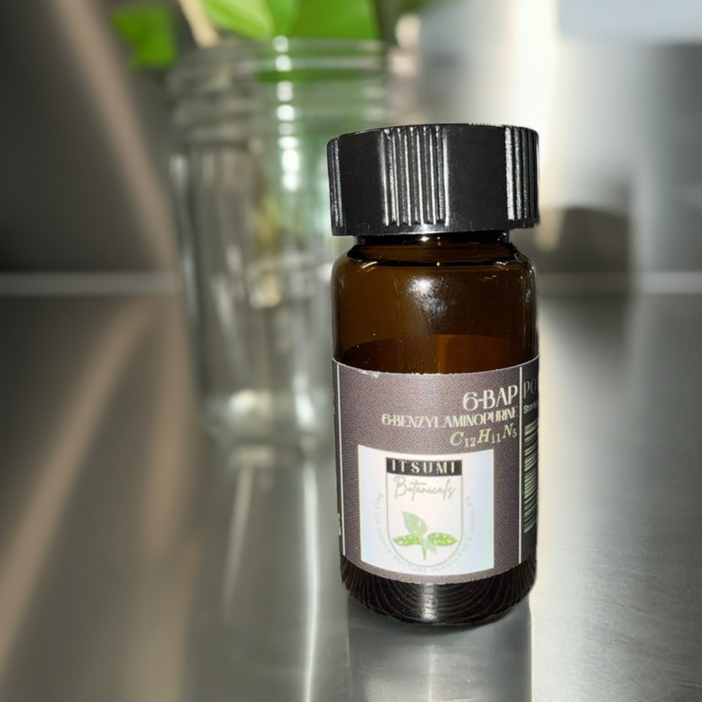 6-BAP (6-Benzylaminopurine) Powder 99%