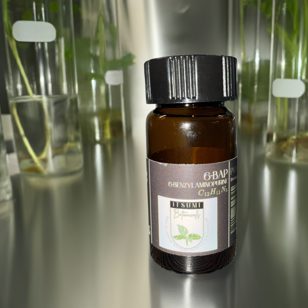 6-BAP (6-Benzylaminopurine) Powder 99%