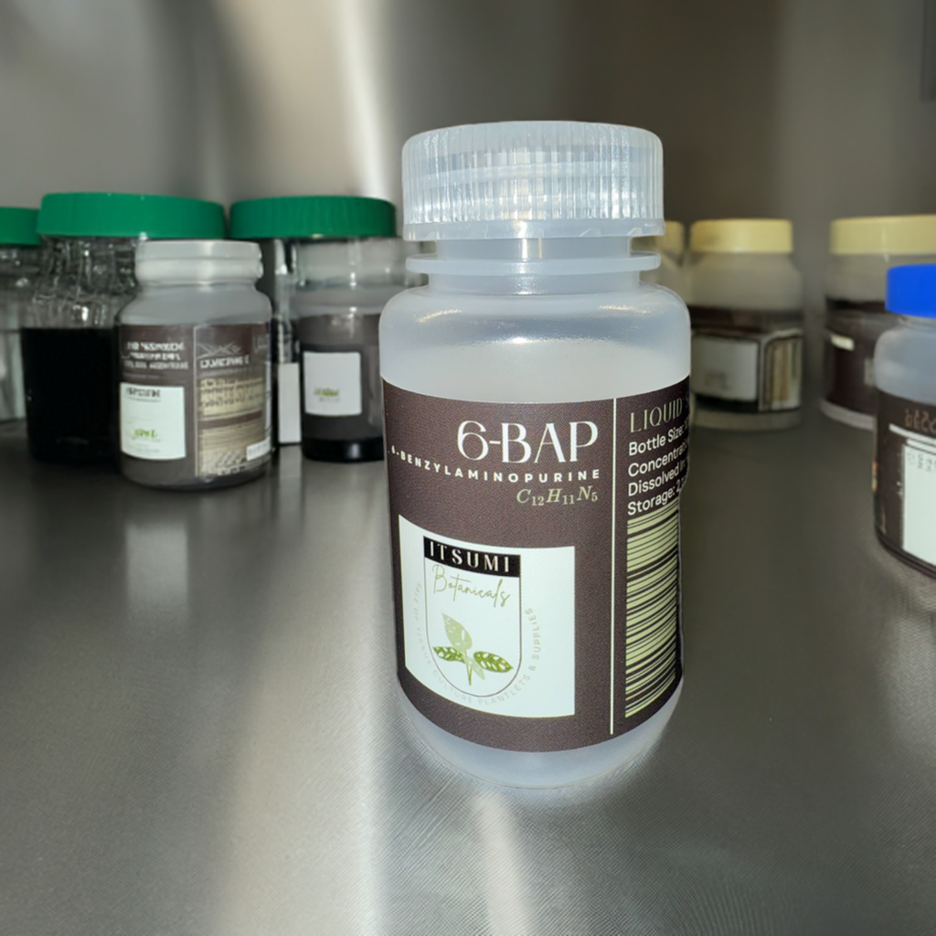 6-BAP (6-Benzylaminopurine) Solution (1 mg/mL)