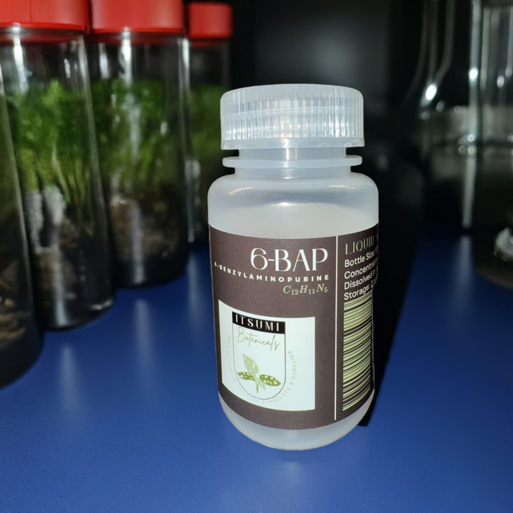 6-BAP (6-Benzylaminopurine) Solution (1 mg/mL)