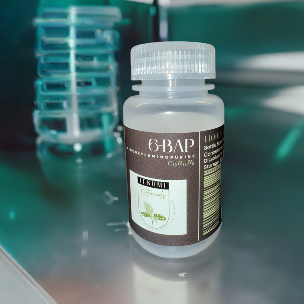 6-BAP (6-Benzylaminopurine) Solution (1 mg/mL)