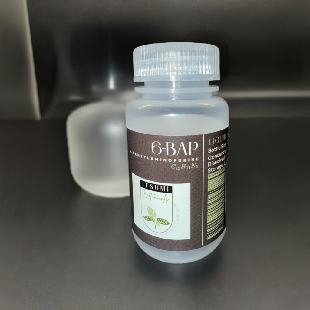6-BAP (6-Benzylaminopurine) Solution (1 mg/mL)