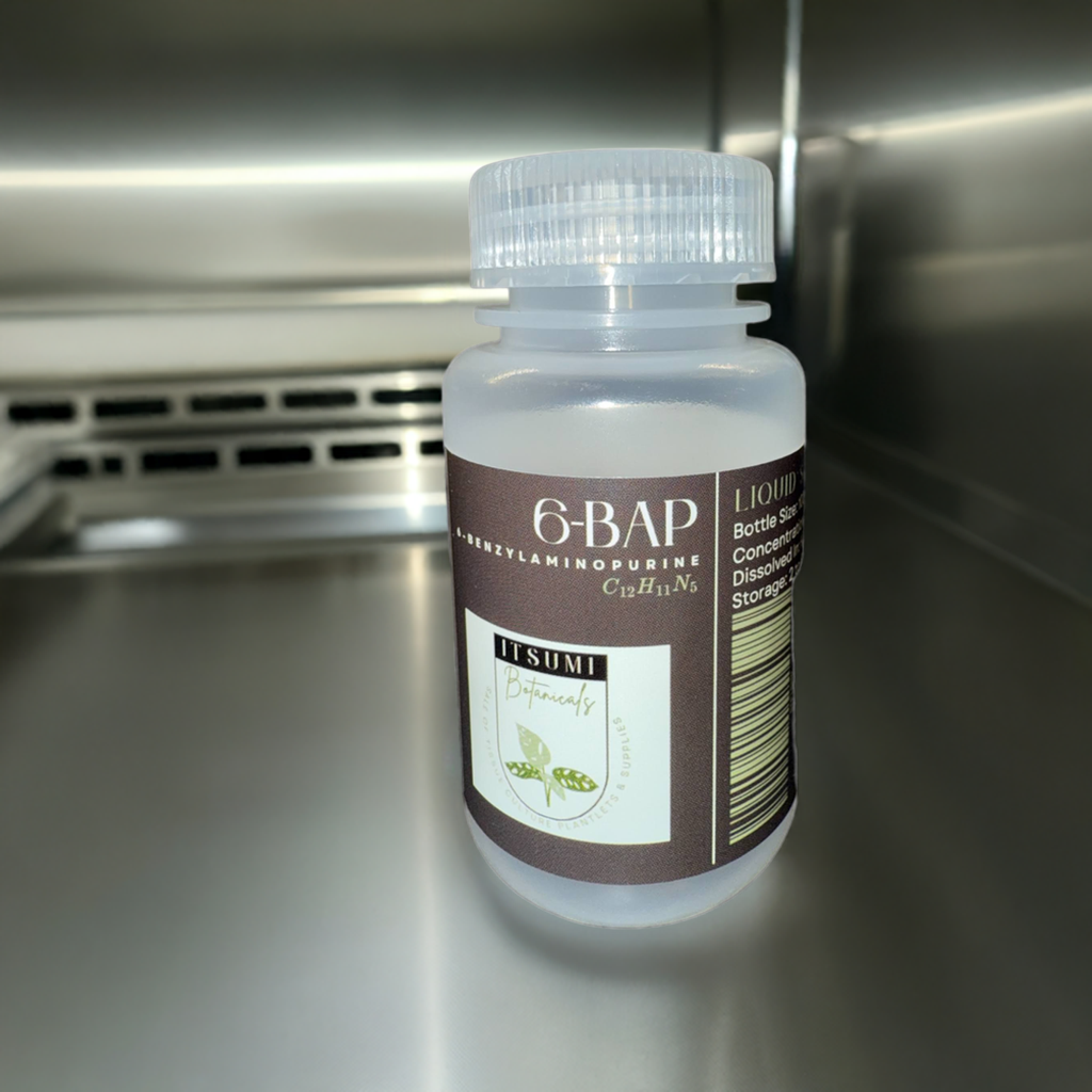 6-BAP (6-Benzylaminopurine) Solution (1 mg/mL)