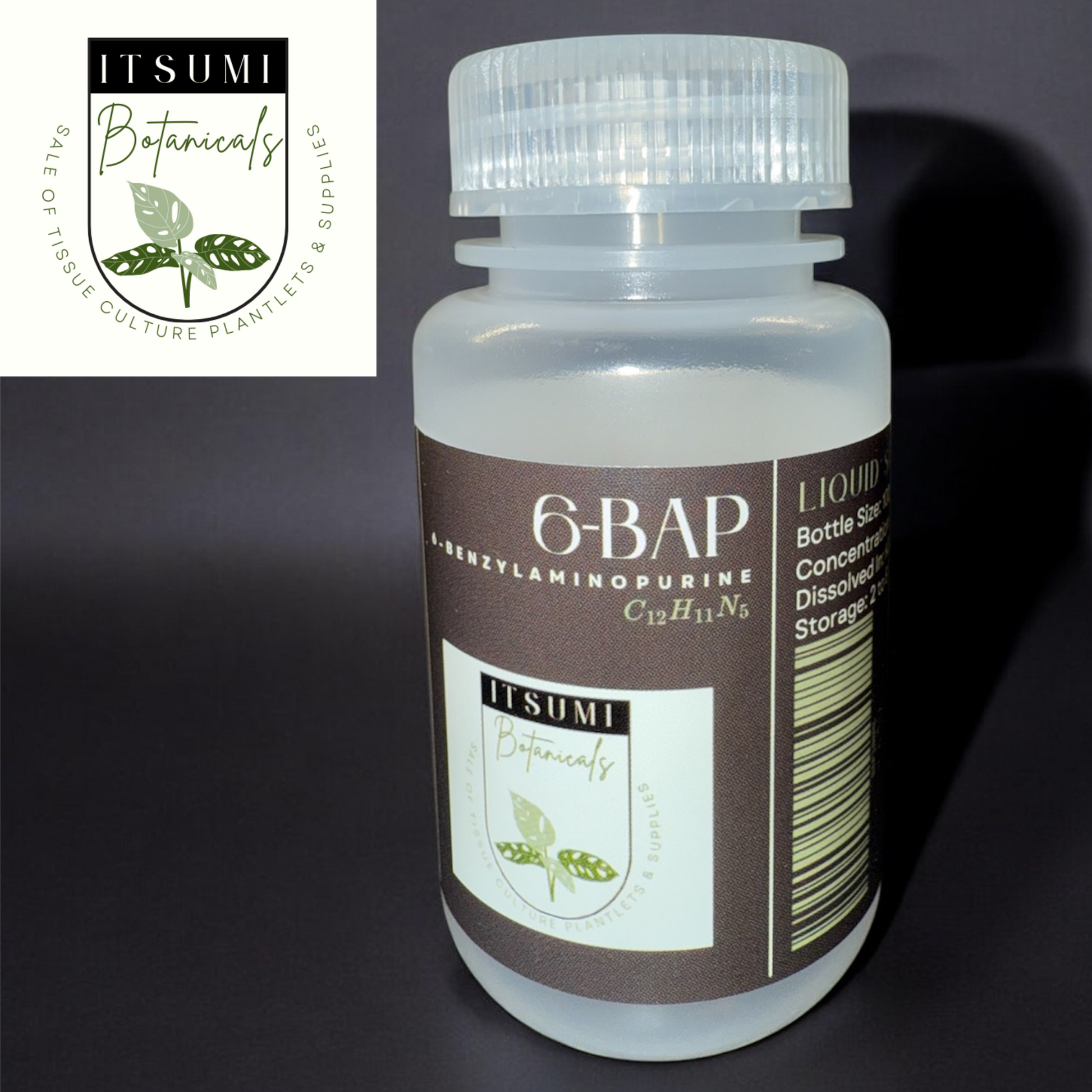 ITSUMI Botanicals labeled 100ml bottle of 6-BAP (6-Benzylaminopurine) Liquid Solution, used to stimulate shoot proliferation and cell division in tissue culture applications