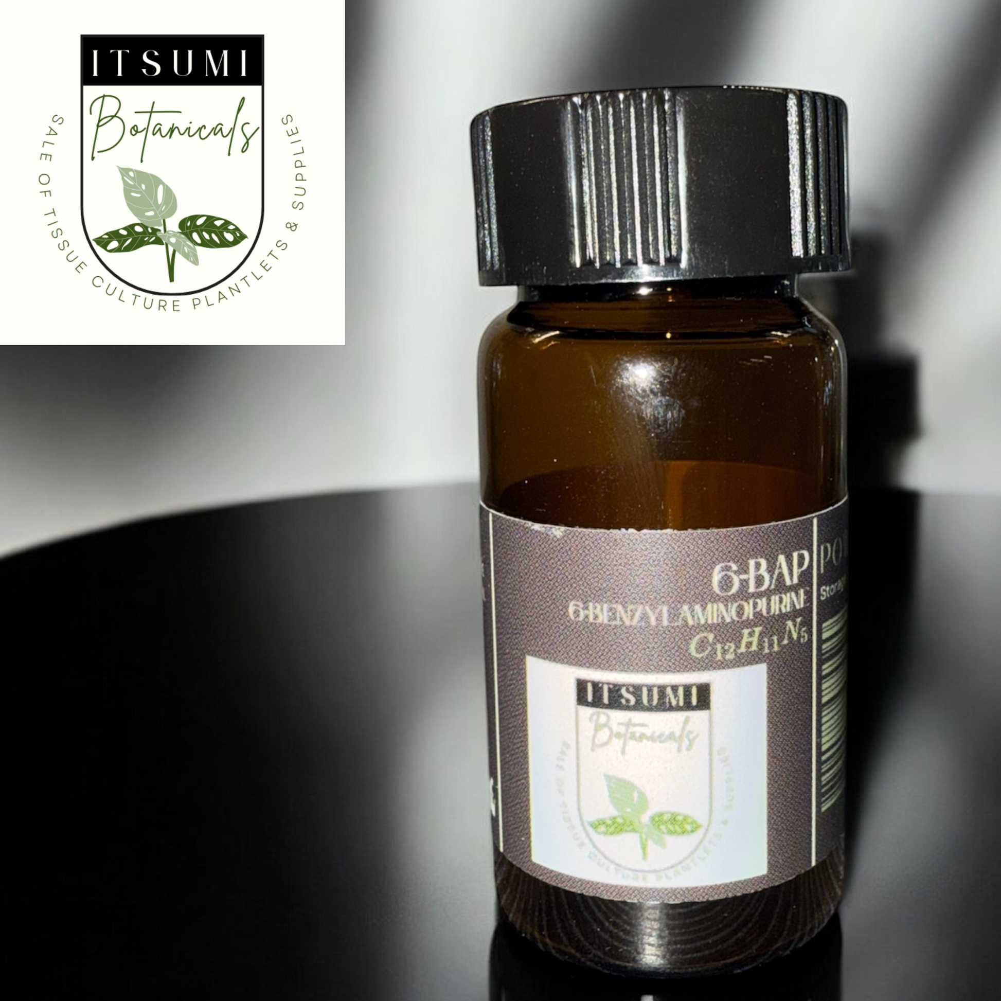 ITSUMI Botanicals bottle of 6-BAP Powder (6-Benzylaminopurine) with black cap and product label, a high-purity cytokinin used in plant tissue culture to promote cell division and shoot proliferation