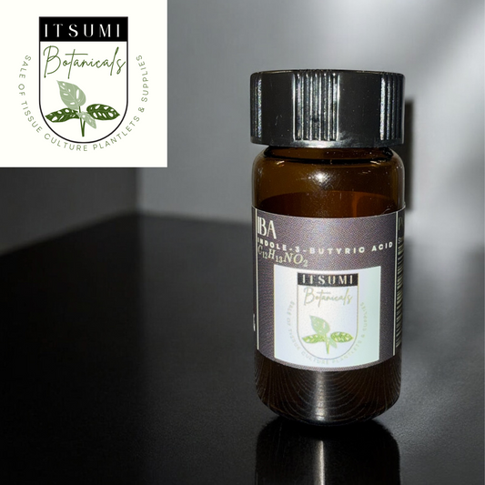 ITSUMI Botanicals brown bottle of IBA Powder (Indole-3-Butyric Acid) with black cap and labeled packaging, used in plant propagation and tissue culture for strong root growth