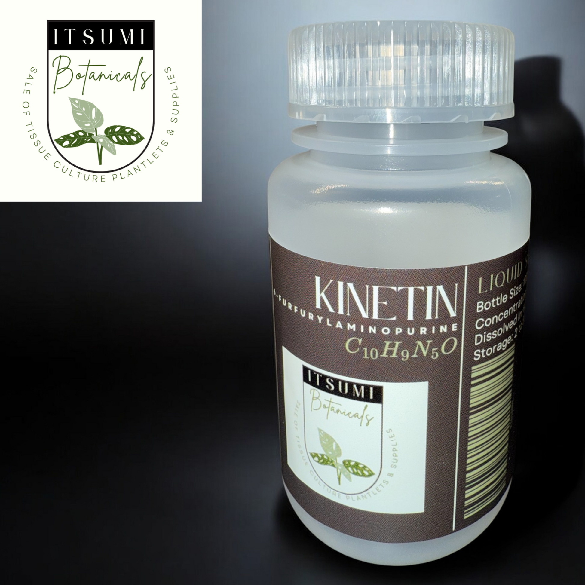 ITSUMI Botanicals 100ml bottle of Kinetin (6-Furfurylaminopurine) Liquid Solution with clear cap and dark label, used in plant tissue culture to promote cell division and delay senescence