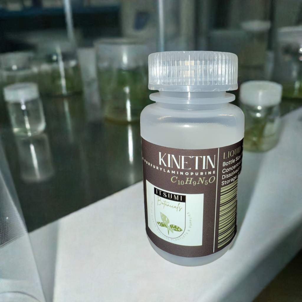 Kinetin (6-Furfurylaminopurine) Solution (1 mg/mL)