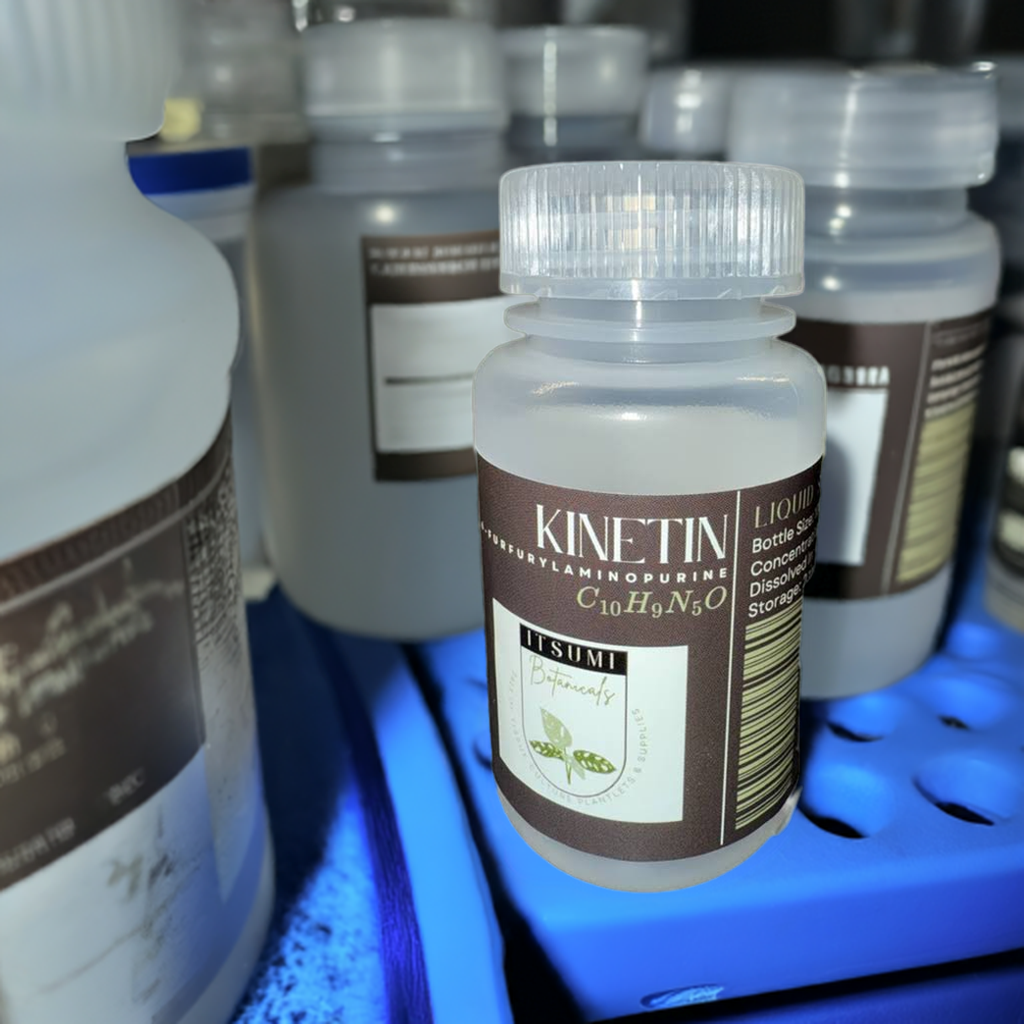 Kinetin (6-Furfurylaminopurine) Solution (1 mg/mL)