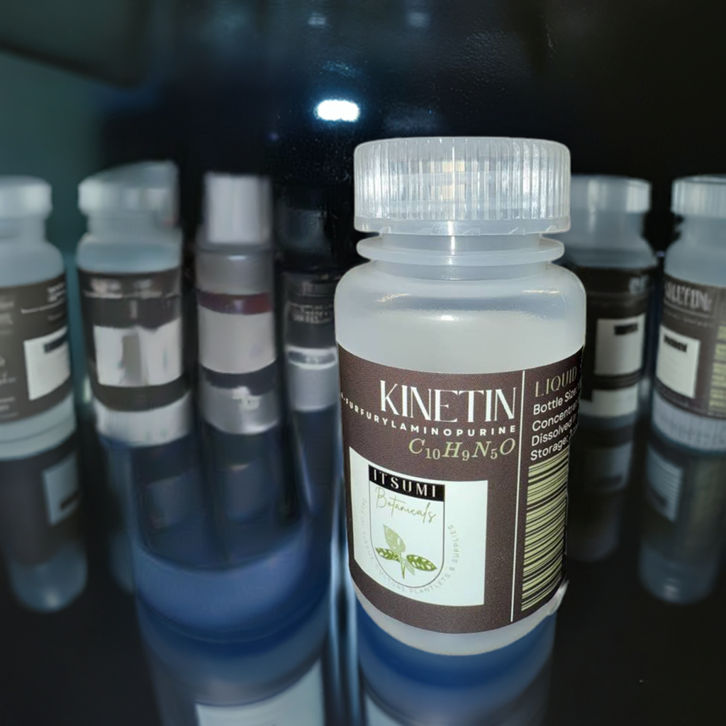 Kinetin (6-Furfurylaminopurine) Solution (1 mg/mL)