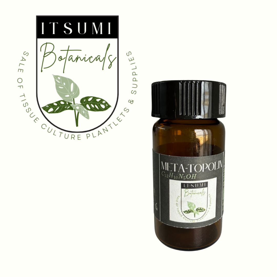 An amber bottle with a black cap labeled ‘META-TOPOLIN (C12H10N5OH)’ from ITSUMI Botanicals, shown alongside the brand’s leaf-themed logo reading ‘Sale of Tissue Culture Plantlets & Supplies.