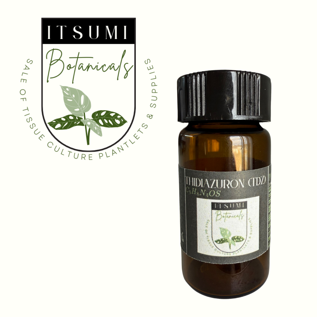An amber bottle with a black cap labeled ‘THIDIAZURON (TDZ) (C9H8N4OS)’ from ITSUMI Botanicals, shown alongside the brand’s leaf-themed logo reading ‘Sale of Tissue Culture Plantlets & Supplies.
