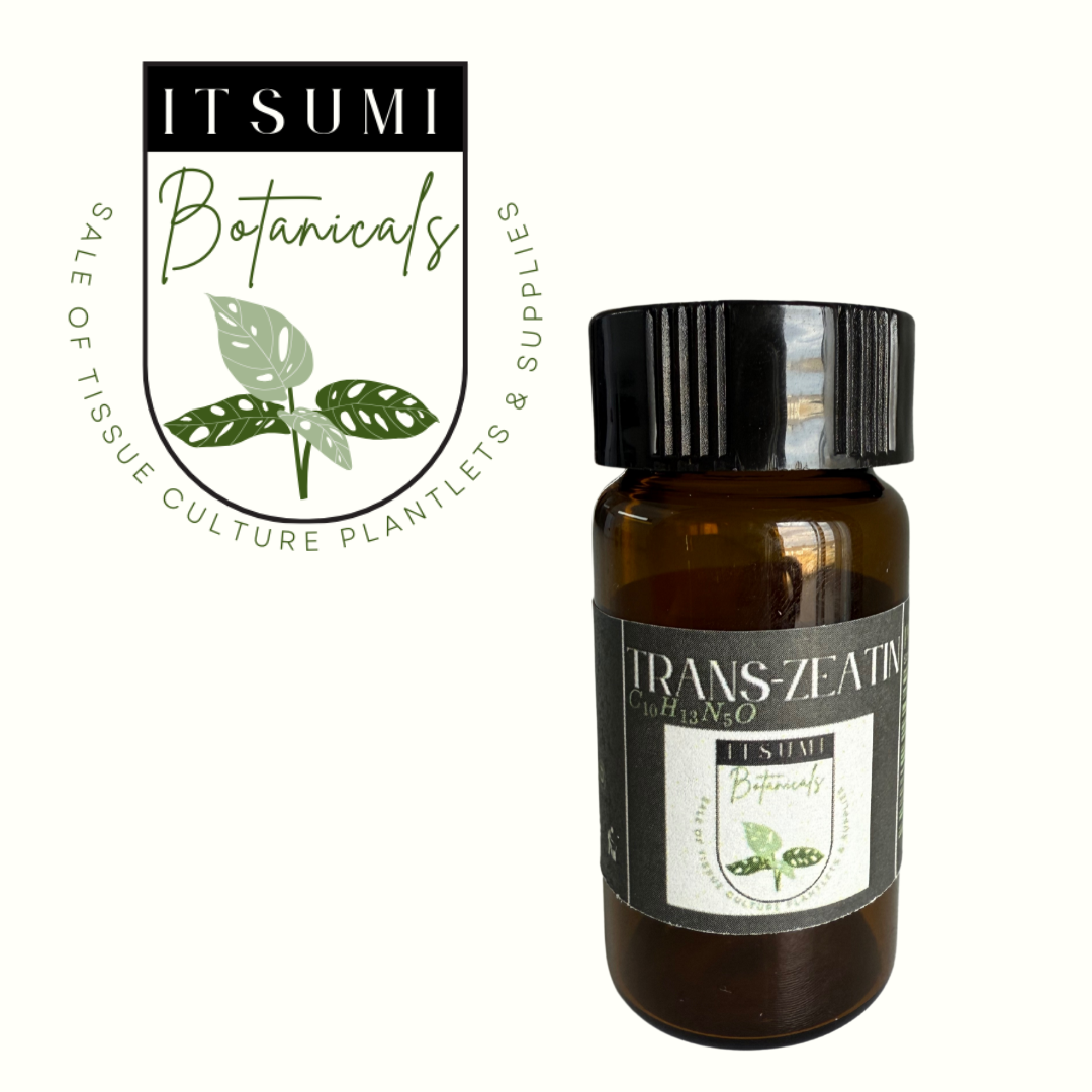 An amber bottle with a black cap labeled ‘TRANS-ZEATIN (C10H13N5O)’ from ITSUMI Botanicals, shown alongside the brand’s leaf-themed logo reading ‘Sale of Tissue Culture Plantlets & Supplies.