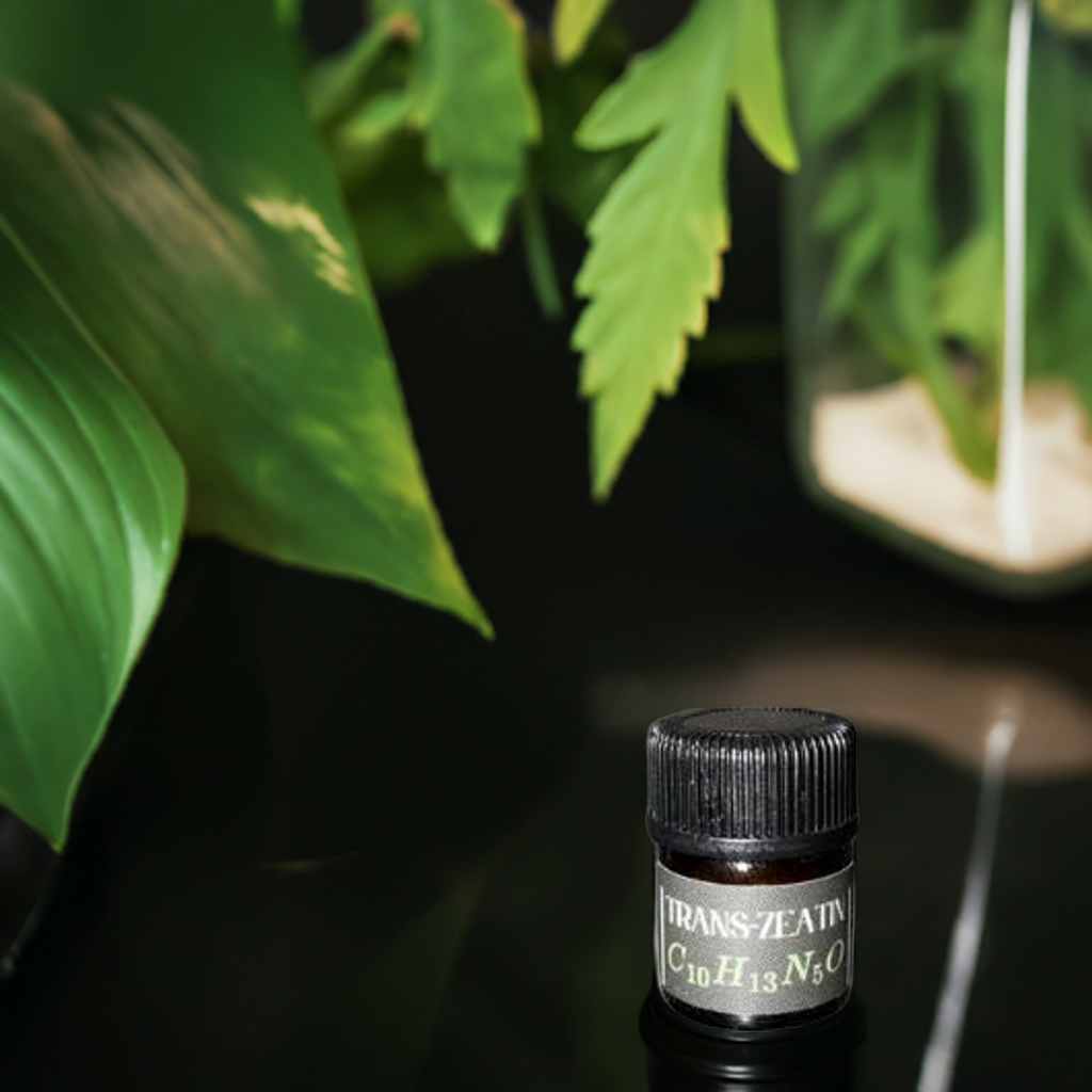 trans-Zeatin Powder 99%