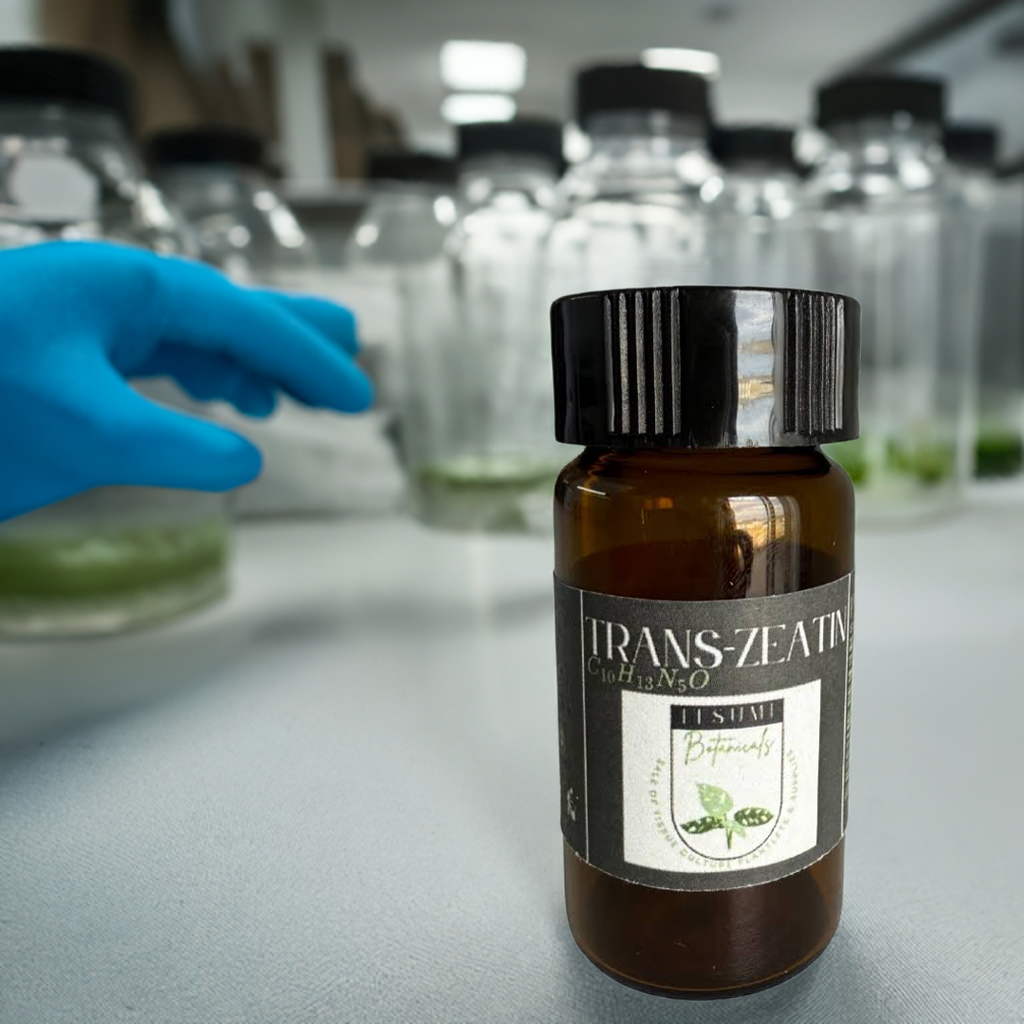 trans-Zeatin Powder 99%
